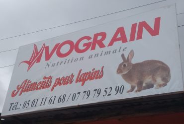 Ivograin pour tout vos lapin