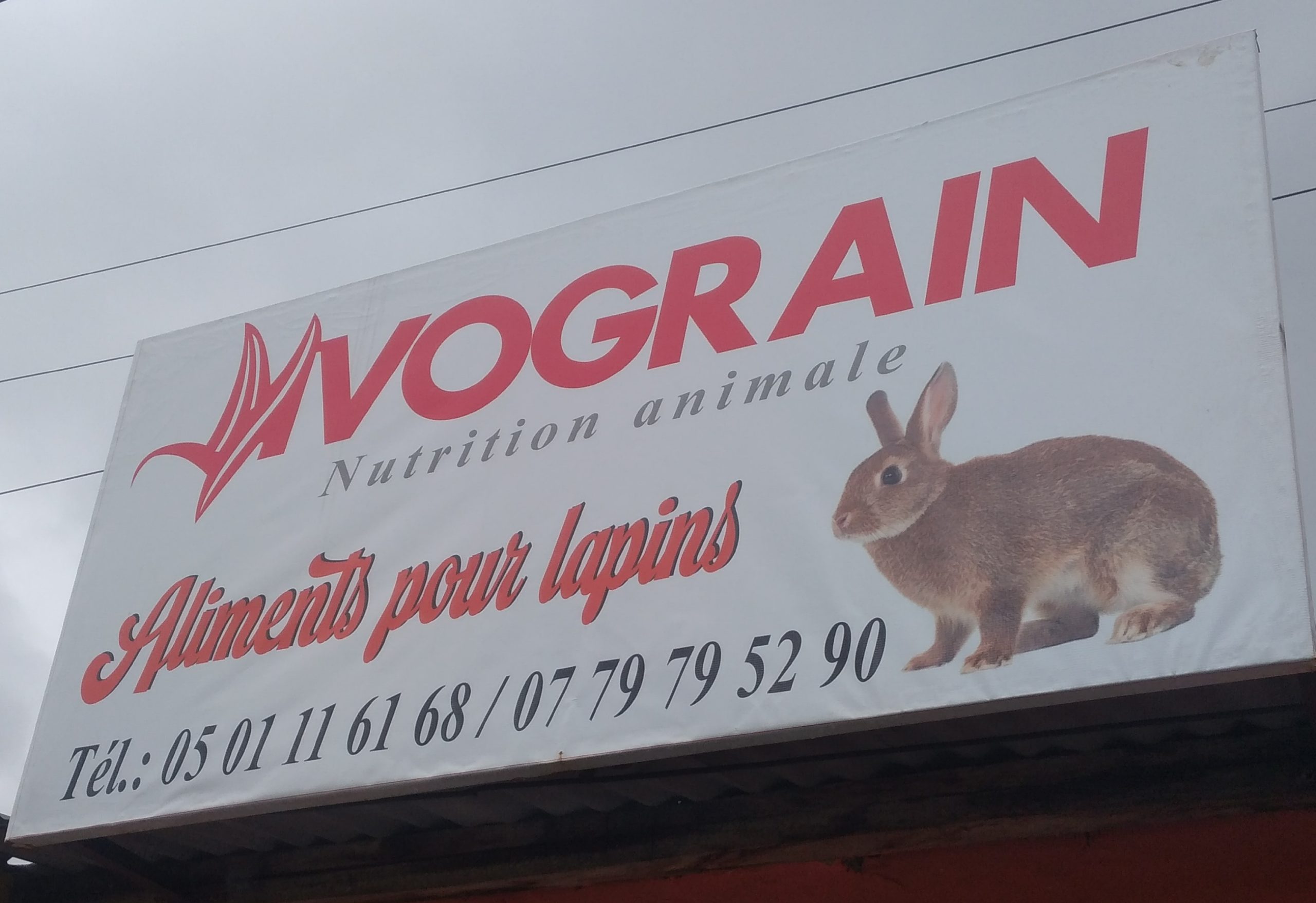 Ivograin pour tout vos lapin