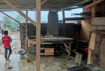 Menuisier professionnel