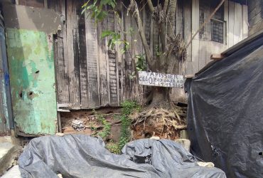 Tapissier professionnel