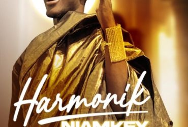 Très bon artiste chanteur