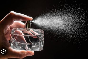 Expert en parfumerie