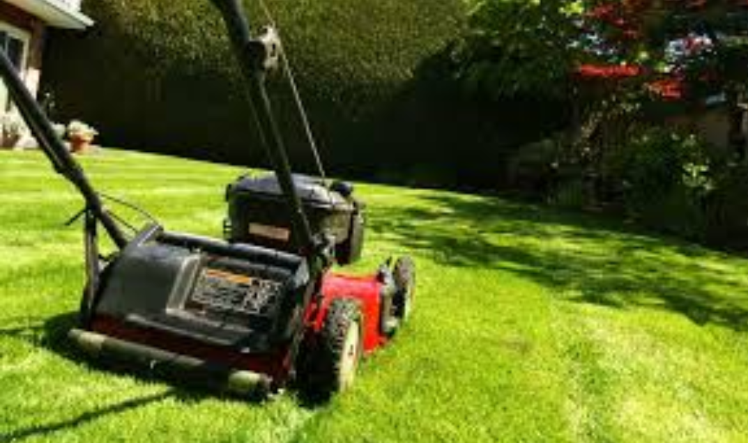 Paysagiste et entretien de jardin