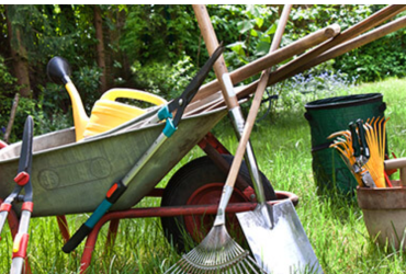 Paysagiste et entretien de jardin