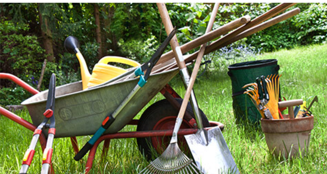 Paysagiste et entretien de jardin