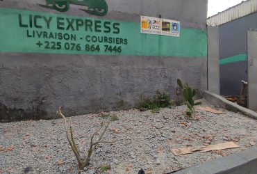Licy Express