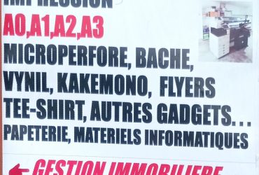SILUE GROUPE INNOVATION & SERVICES