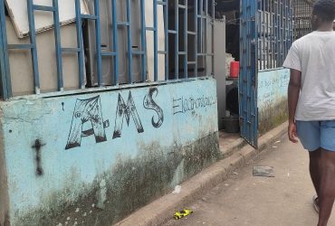AMS Electronic