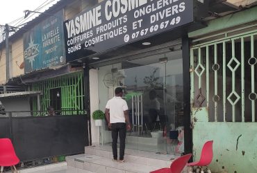 Yasmine cosmetics
