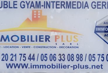 Immobilier Plus