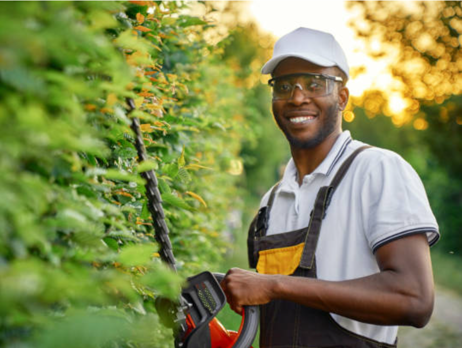 Jardinier professionnel