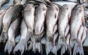 Poissonnerie