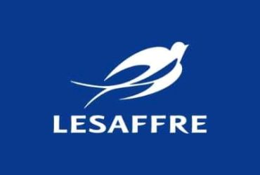Les affre ivoire