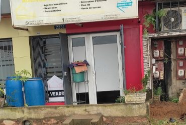 Agence immobilière Ivoire STB