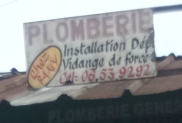 Plombier professionnel