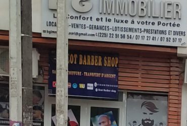 BG immobilier – le Confort et le Luxe à votre portée