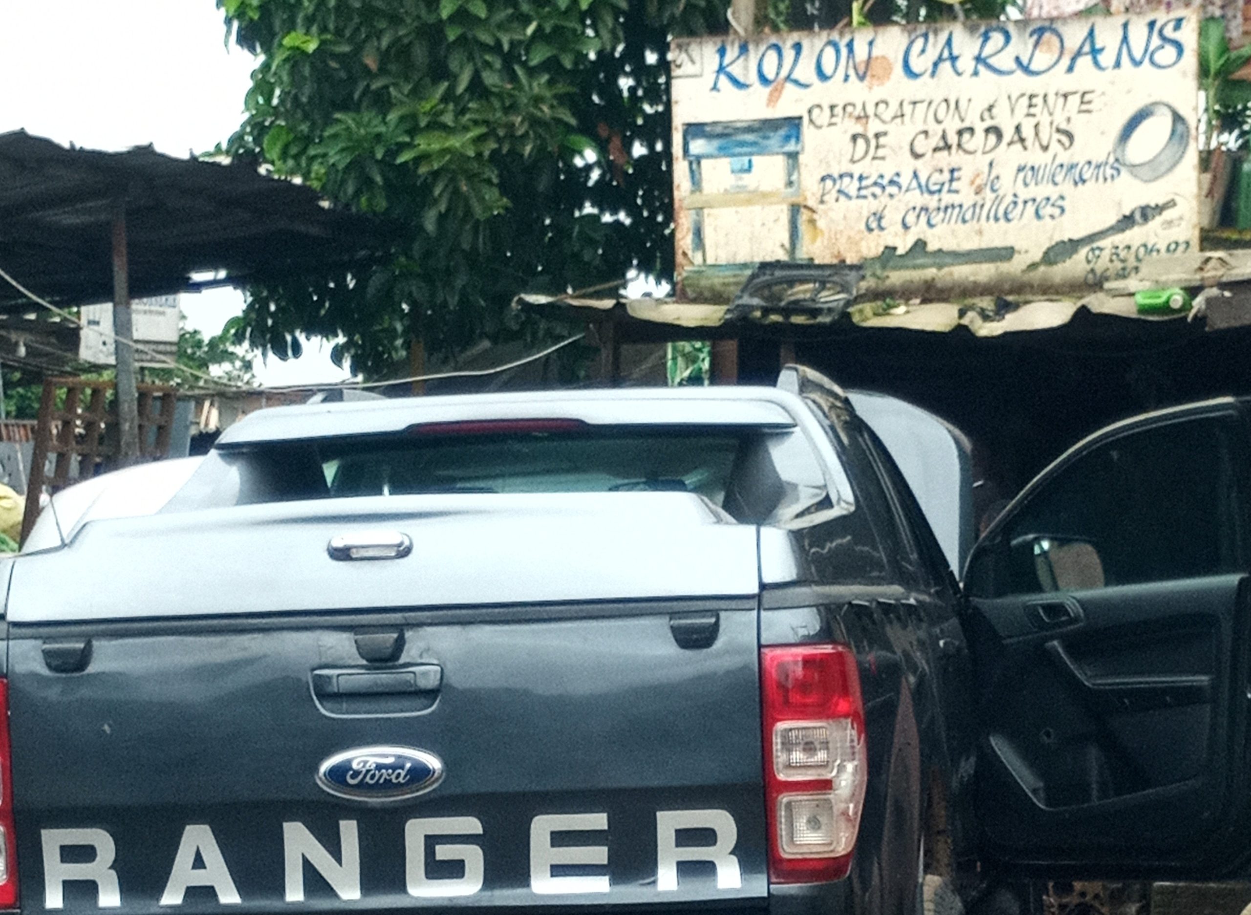 KOLON CARDANS