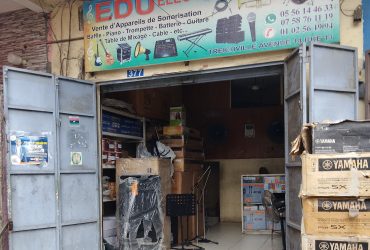 EDU ELECTRONICS