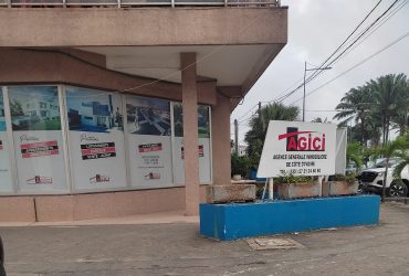 Agici immobilier