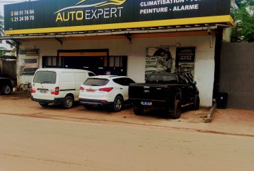 Auto expert