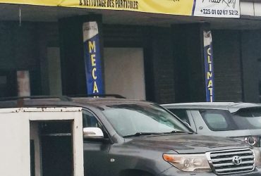 Auto king