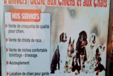 Dog shop