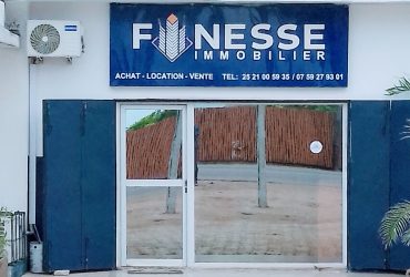 Finesse immobilier
