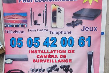 REPARATION PROFESSIONNELLE