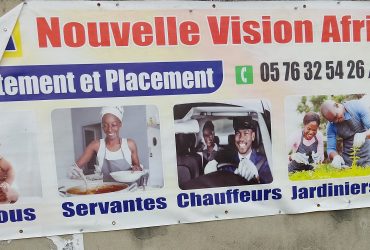 Nouvelle Vision Africaine