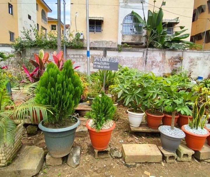 Jardinier Paysagiste à la Jules Vernes