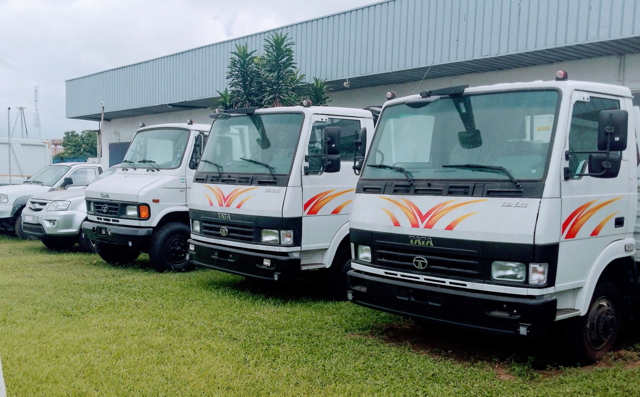 Ivoire motor