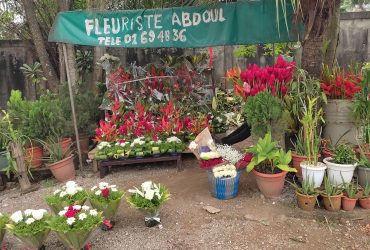 Fleuriste à la Riviera 3