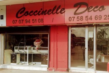 Coccinelle déco
