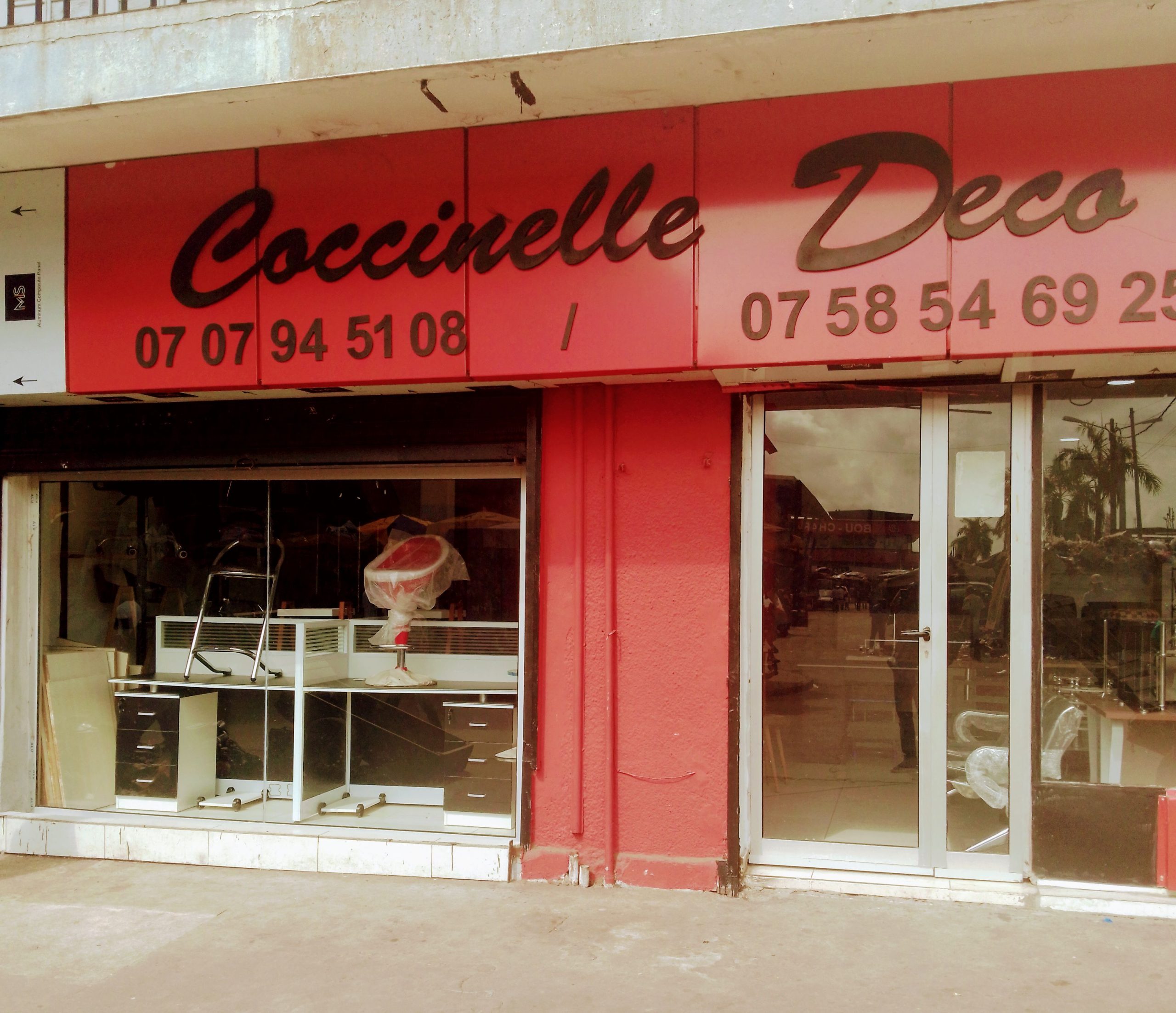 Coccinelle déco
