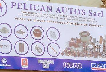Pelican autos sarl
