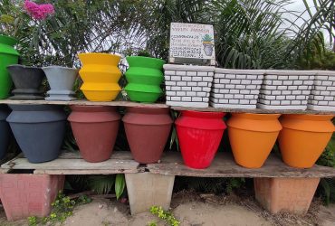 Jardinier Paysagiste à la Riviera Golf