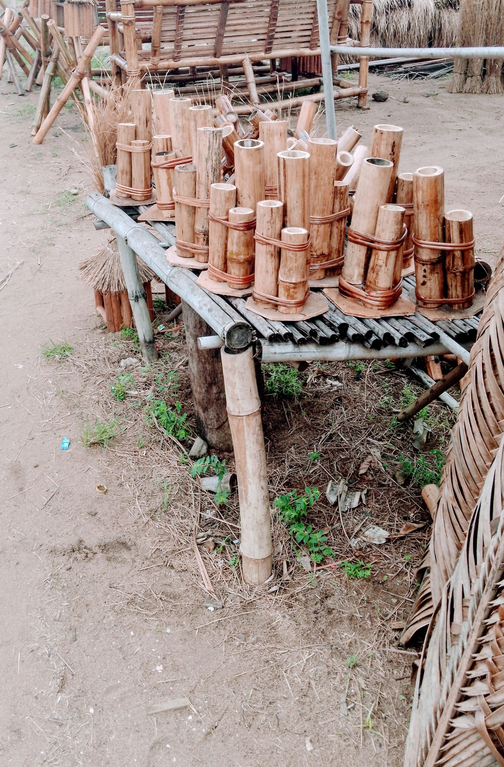 Béranger bambou