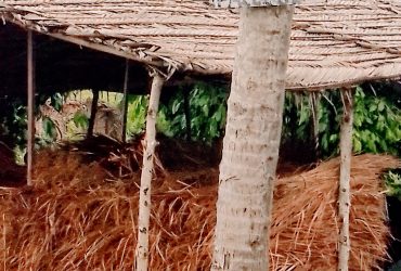 Cabane Traoré Karim