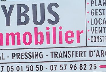 Ybys immobilier