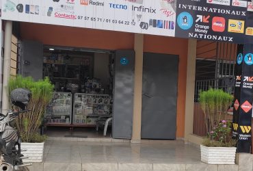 Askia Services