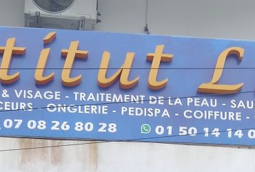 Institut Luli