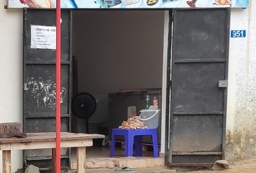 La Maison des poissons