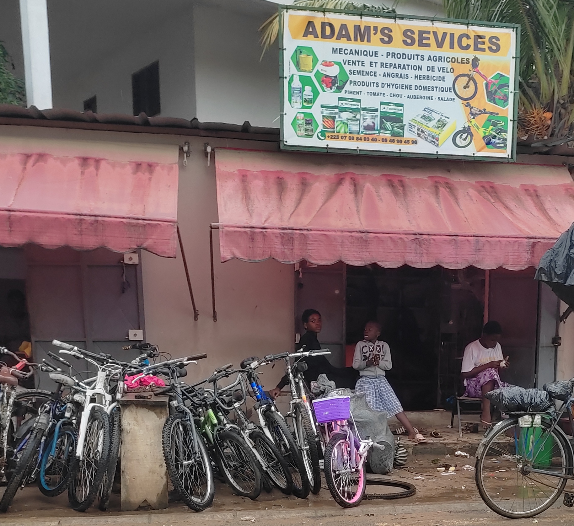 Adam's Services