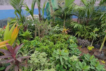Le Jardinier paysagiste de la Bonoumin