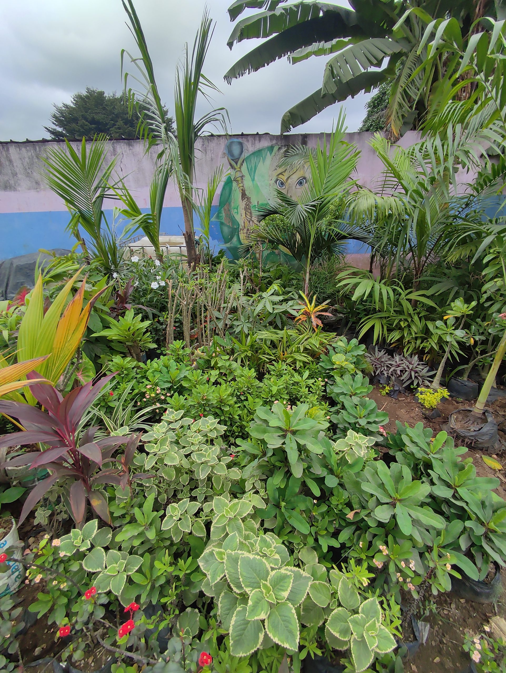 Le Jardinier paysagiste de la Bonoumin