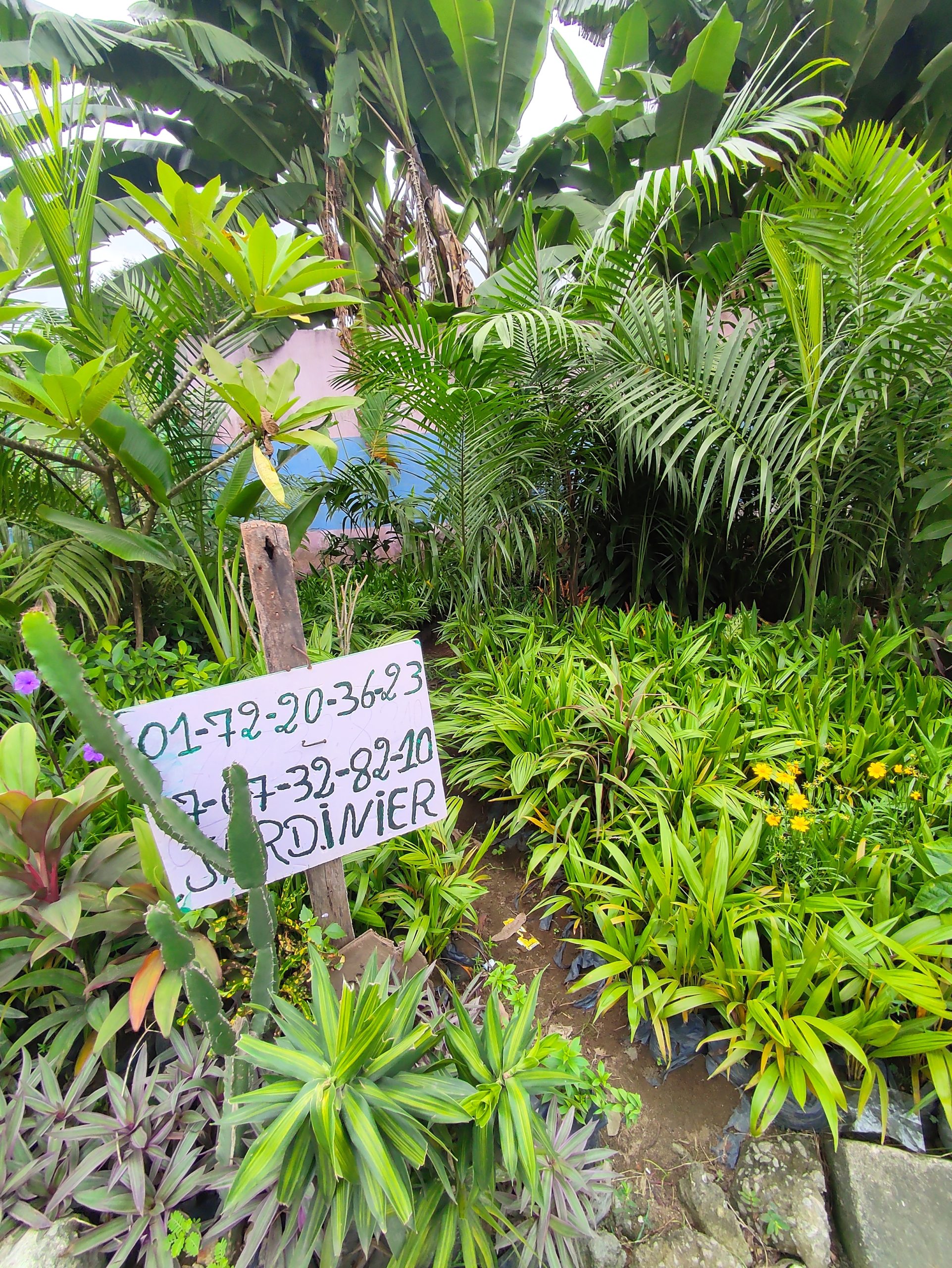 Le Jardinier paysagiste de la Bonoumin