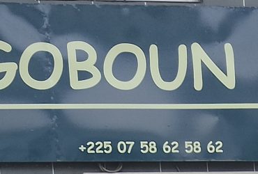 NOGOBOUN DIA