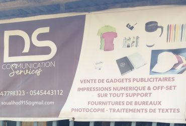 DS  COMMUNICATION Services