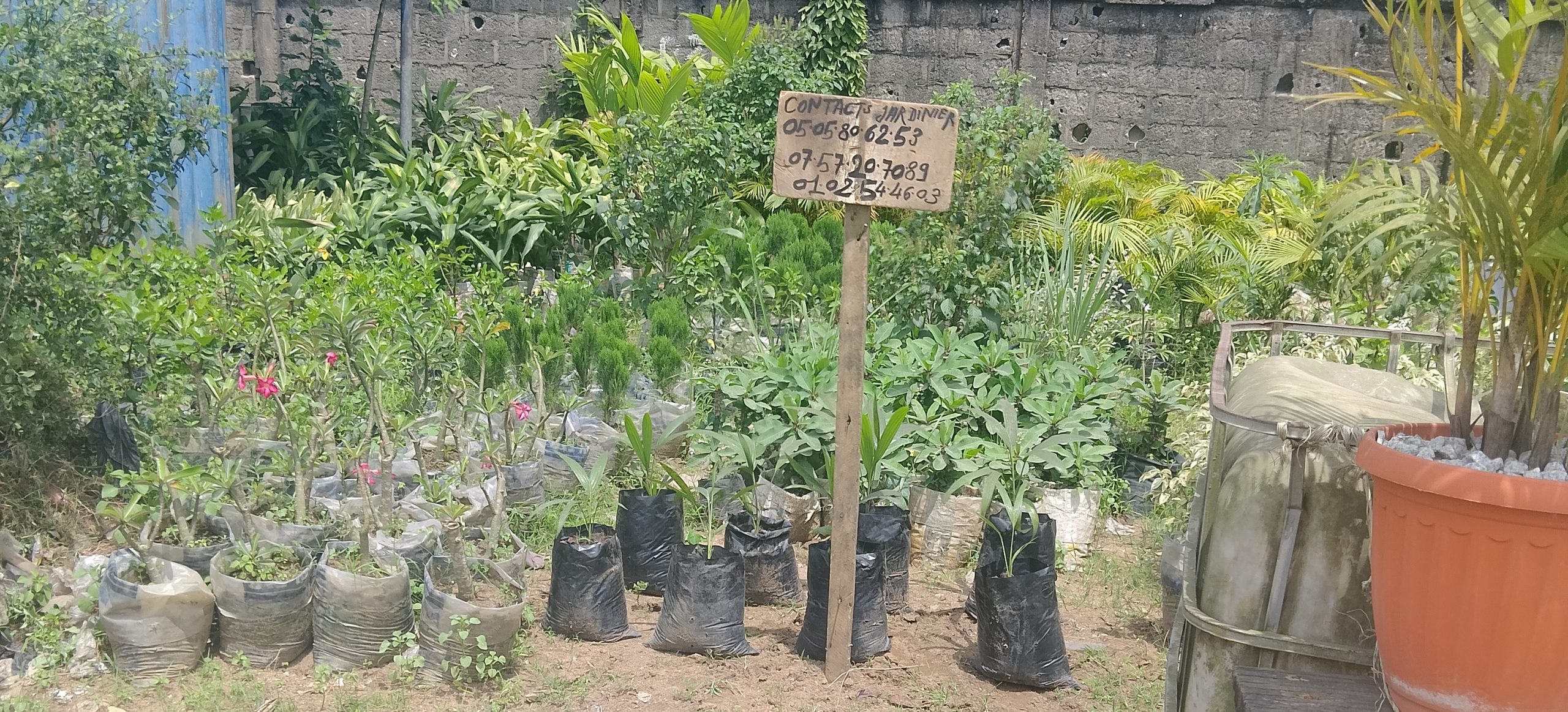 Jardinier professionnel