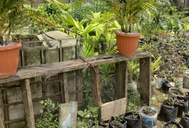 Jardinier professionnel